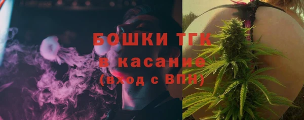 ECSTASY Алзамай
