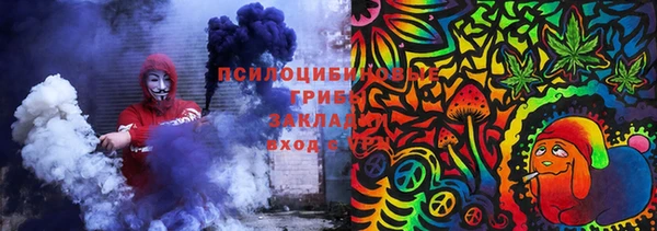 ECSTASY Алзамай