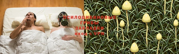 гидропоника Алексин