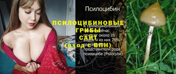 гидропоника Алексин
