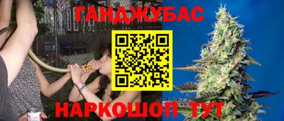 прущие грибы Лесосибирск