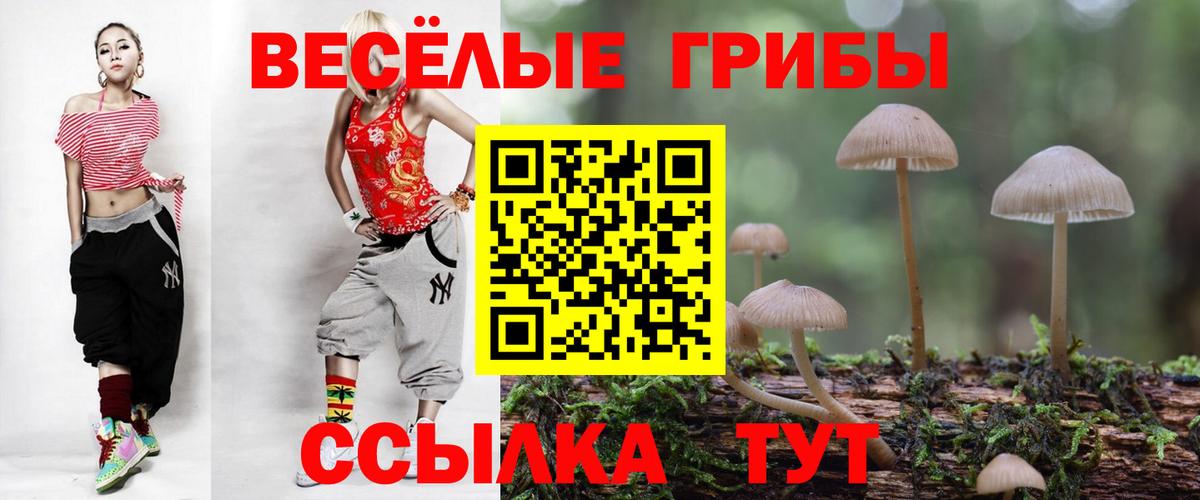 Галлюциногенные грибы MAGIC MUSHROOMS Ишим